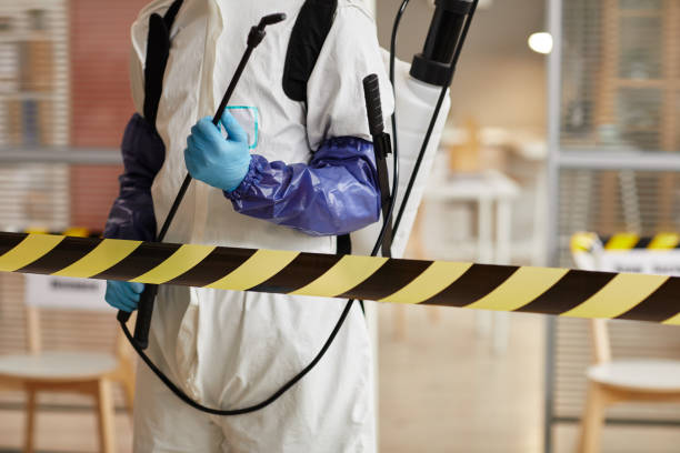 Professional Blood Cleanup technician working in Mascotte, FL